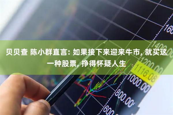 贝贝查 陈小群直言: 如果接下来迎来牛市, 就买这一种股票, 挣得怀疑人生